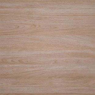 Elegant Oak Texture